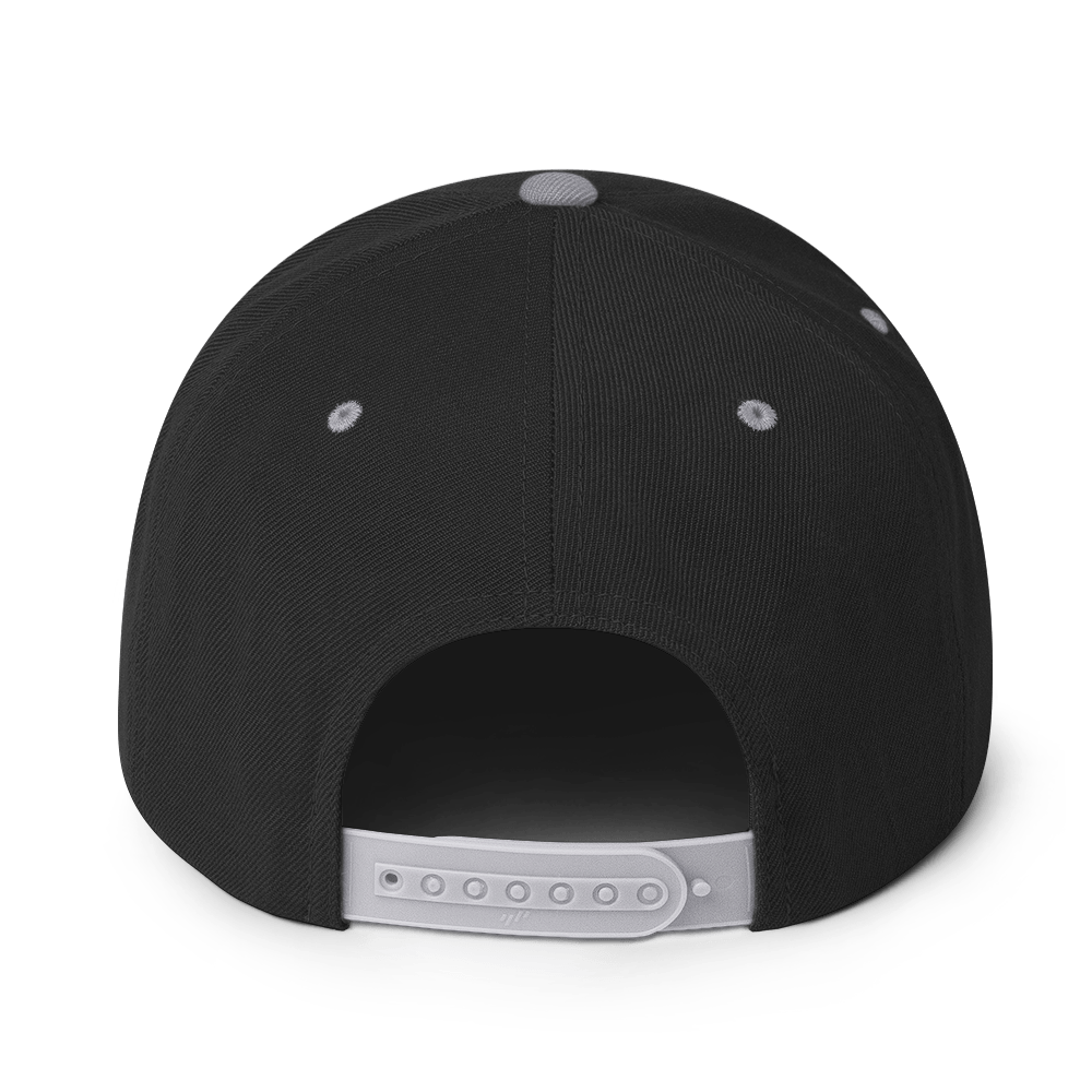 Vox Scriptura | Snapback Hat